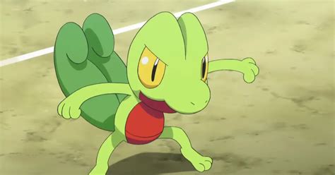 good nicknames for treecko.
